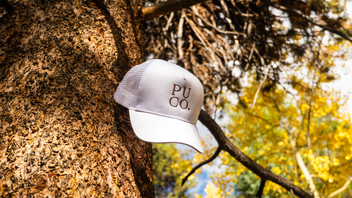 White Trucker Hat