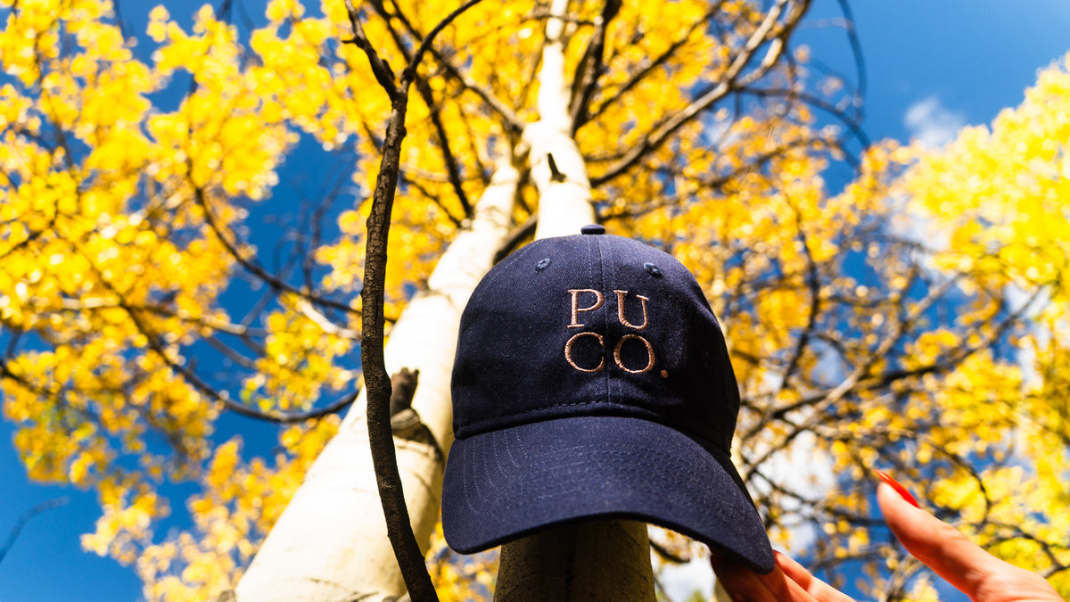 Navy Dad Hat