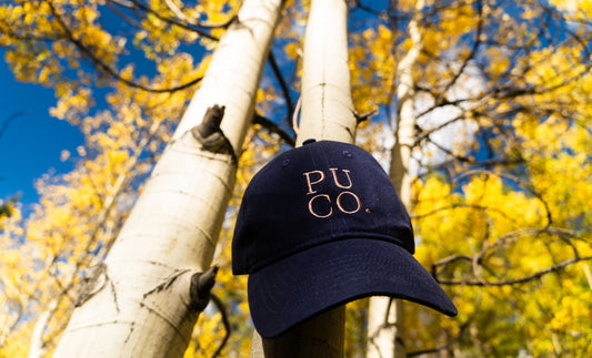 Navy Dad Hat