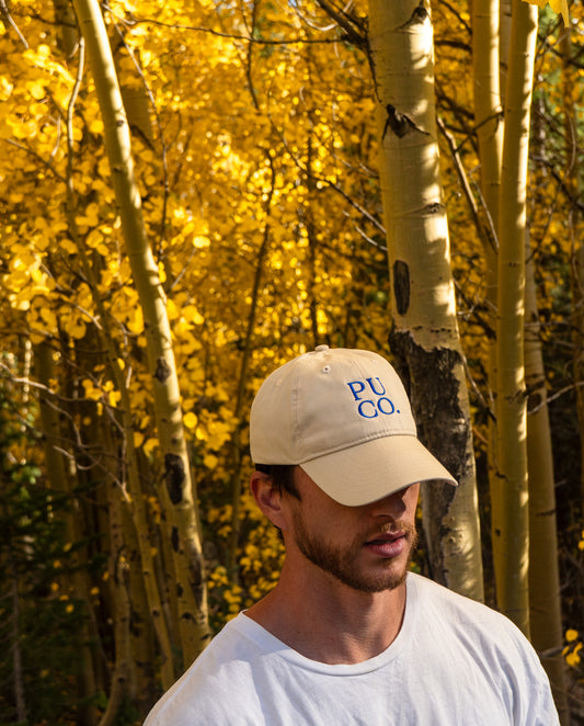 Khaki Dad Hat