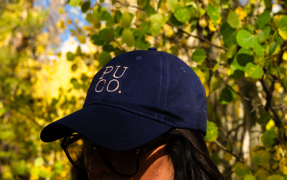 Navy Dad Hat