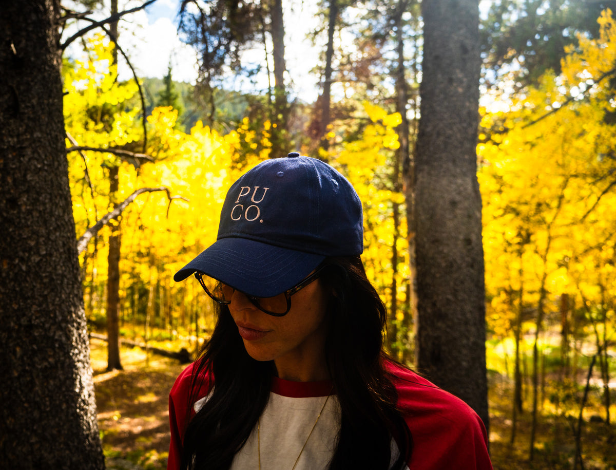 Navy Dad Hat